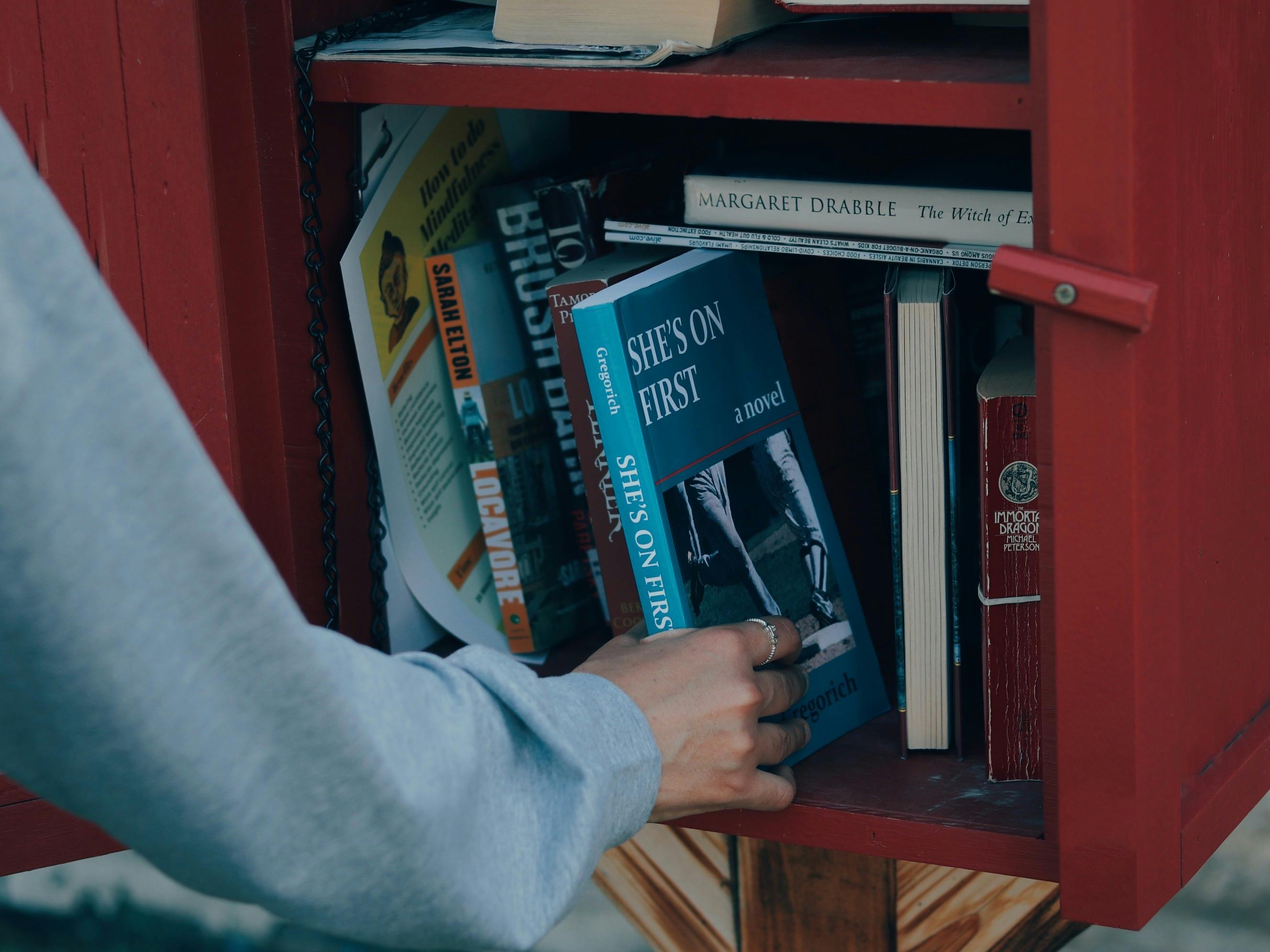 person pulling blue novel out of red free library