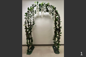 Decorative Arch covered in vines and white hanging flowers